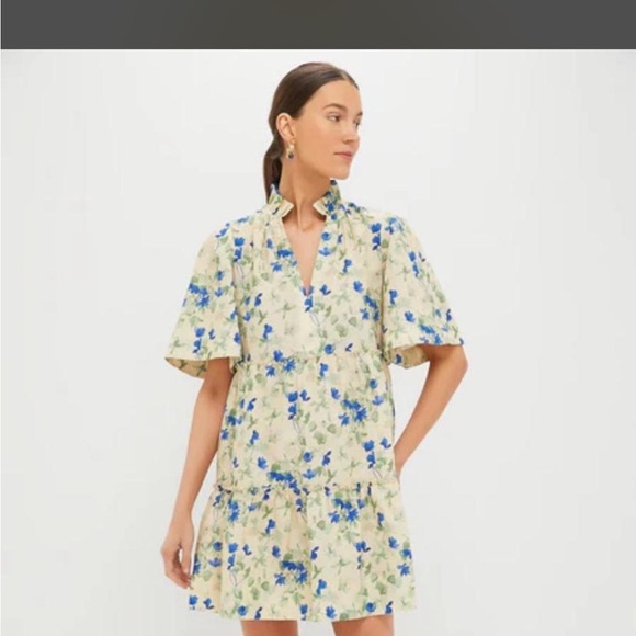 Tuckernuck Dresses & Skirts - Tuckernuck Floral Mini Dress in Blue and Cream